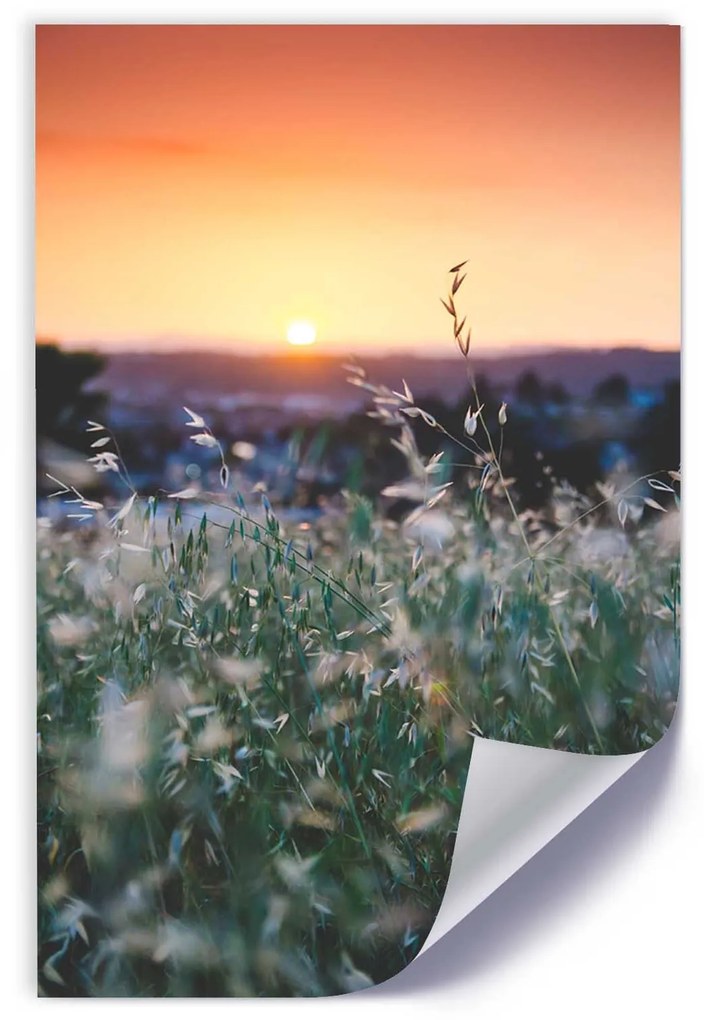 Gario Plagát Lúka s pozadím západu slnka Farba rámu: Bez rámu, Rozmery: 20 x 30 cm