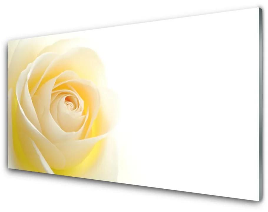 Obraz plexi Ruže kvet rastlina 140x70 cm