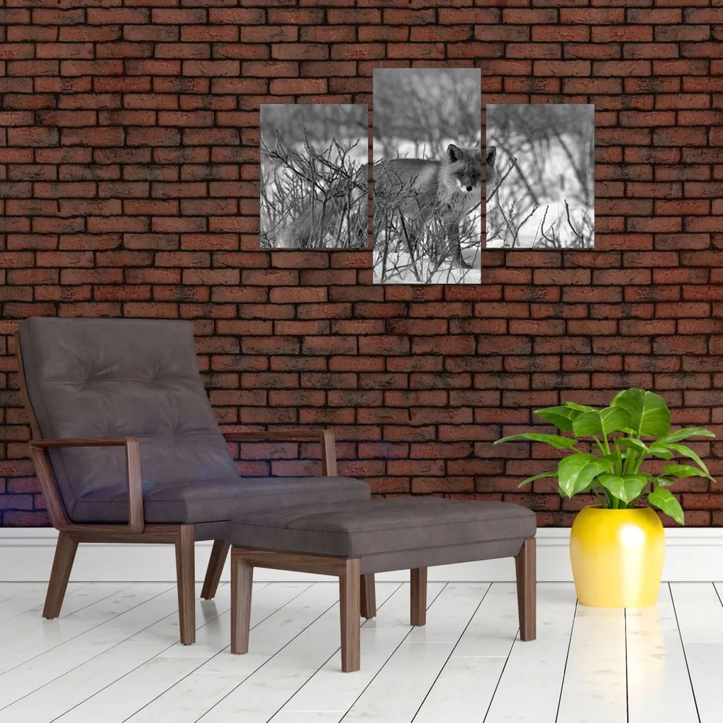 Obraz - Líška v zime (90x60 cm)