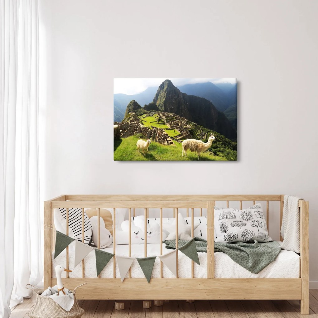 Obraz - Lamy v Machu Picchu (90x60 cm)