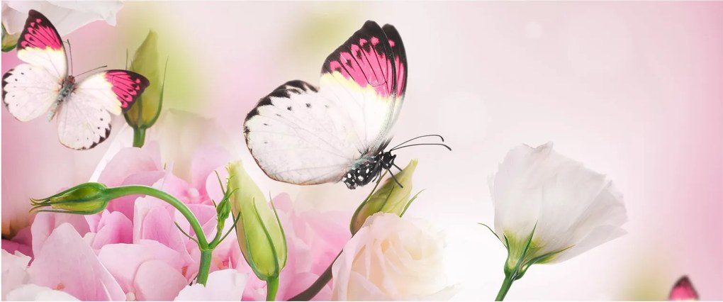 Obraz - Motýľ (120x50 cm)