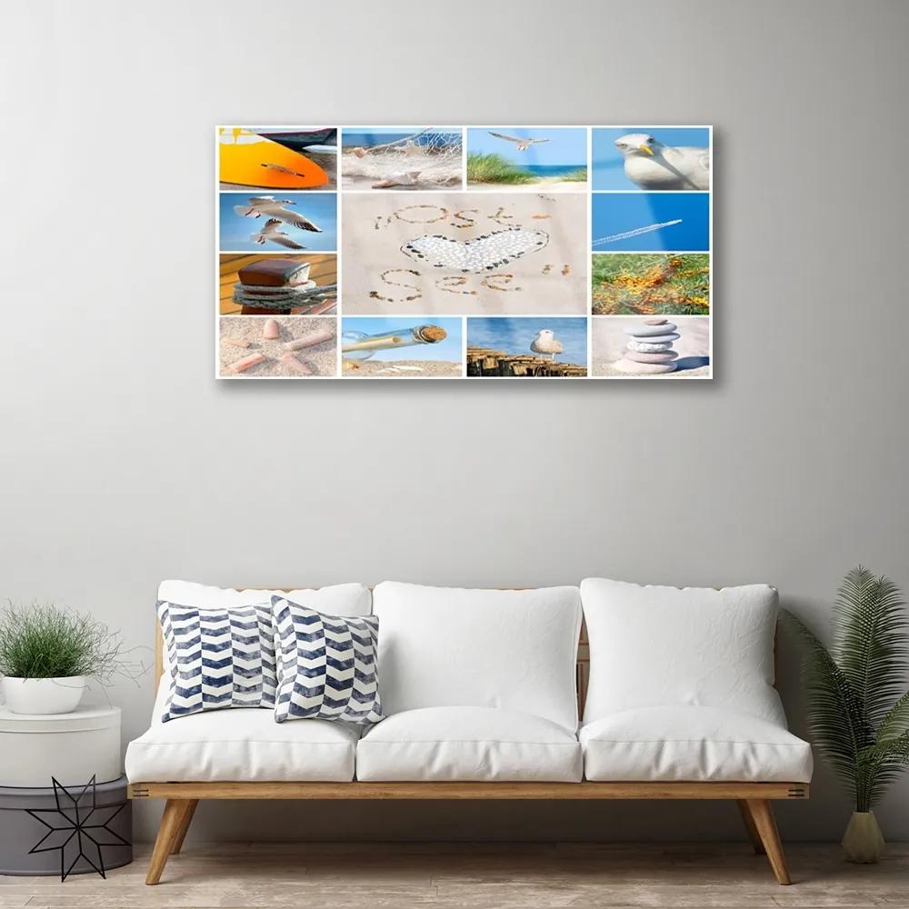 Obraz plexi Oceán pláž čajky krajina 100x50 cm