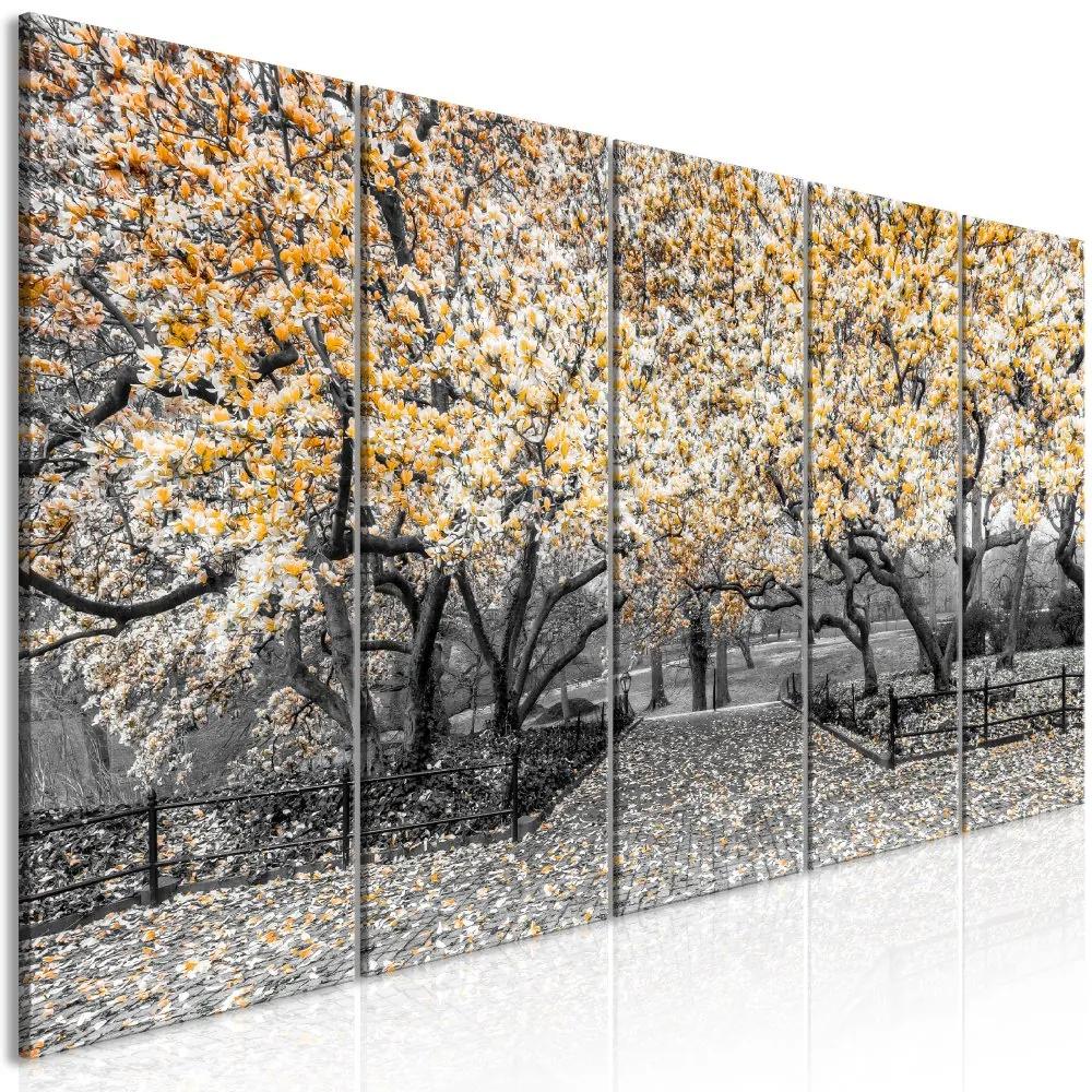 Obraz - Magnolia Park - oranžová 200x80
