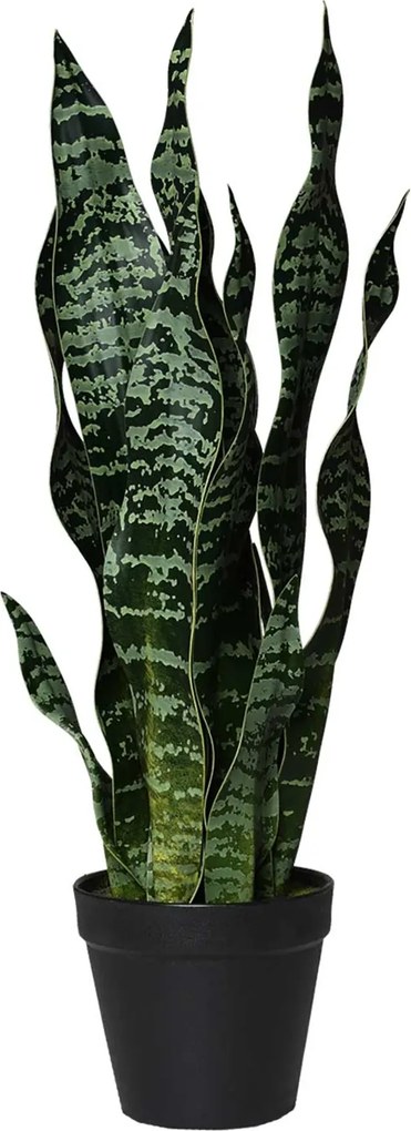 Umelá rastlina SANSI, výška 50 cm, plast, zelená