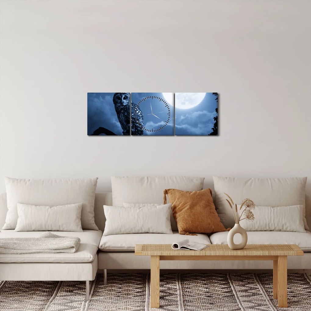 Obraz - Nočná sova (s hodinami) (90x30 cm)