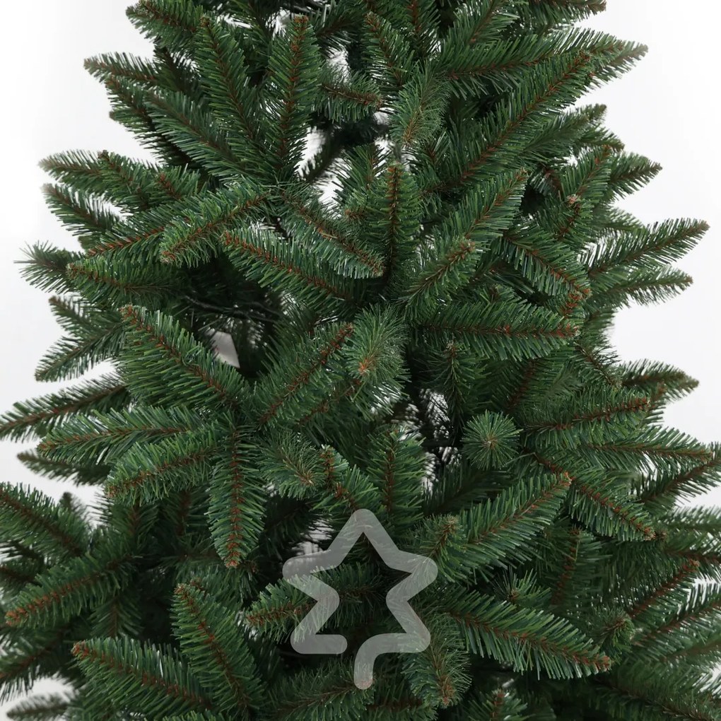 Smrek Kanadský 210 cm