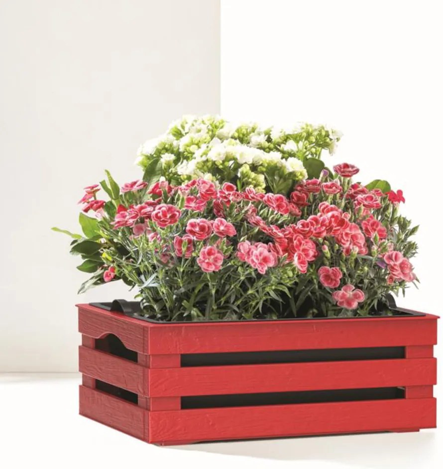 BAMA Bednička TINA Flower 1 RD, farba červená