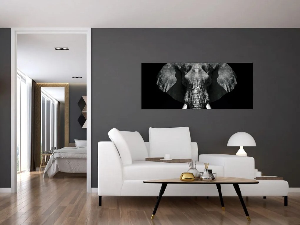 Obraz - Slon na čiernom pozadí (120x50 cm)