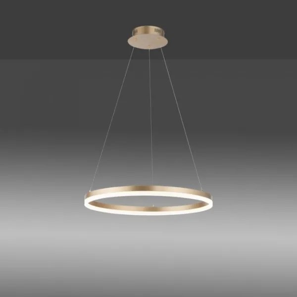 Paul Neuhaus 2382-60 - LED Stmievateľný luster na lanku TITUS LED/38,5W/230V