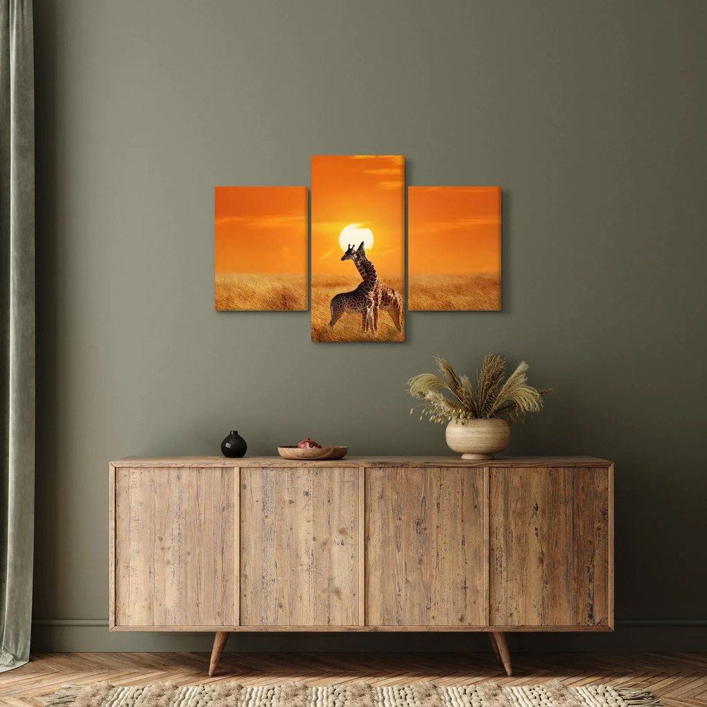Obraz - Žirafy v národnom parku Serengeti (90x60 cm)