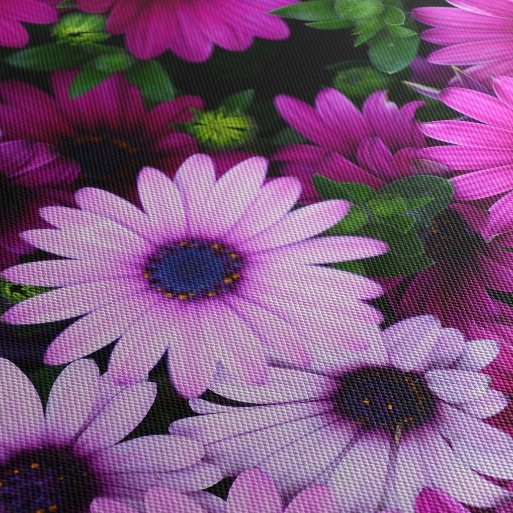 Obraz - Kvety (90x60 cm)