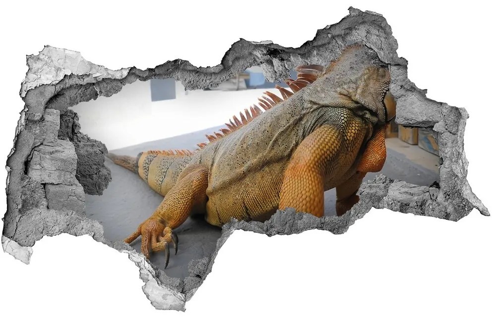 Fototapeta diera na stenu Iguana nd-b-97700993