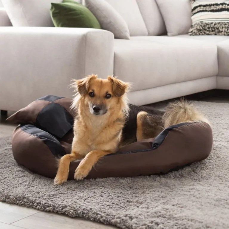 Petstuff pelech pre psa, čierno-hnedý, 75 x 80 x 20 cm