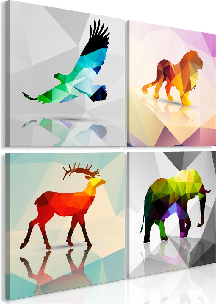Obraz - Colourful Animals (4 Parts) 40x40
