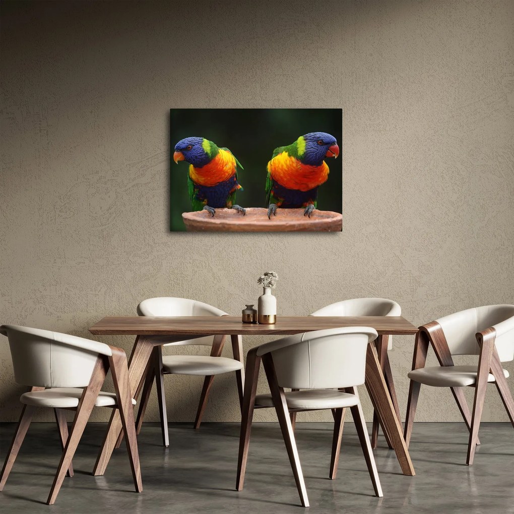 Obraz papagájov (70x50 cm)