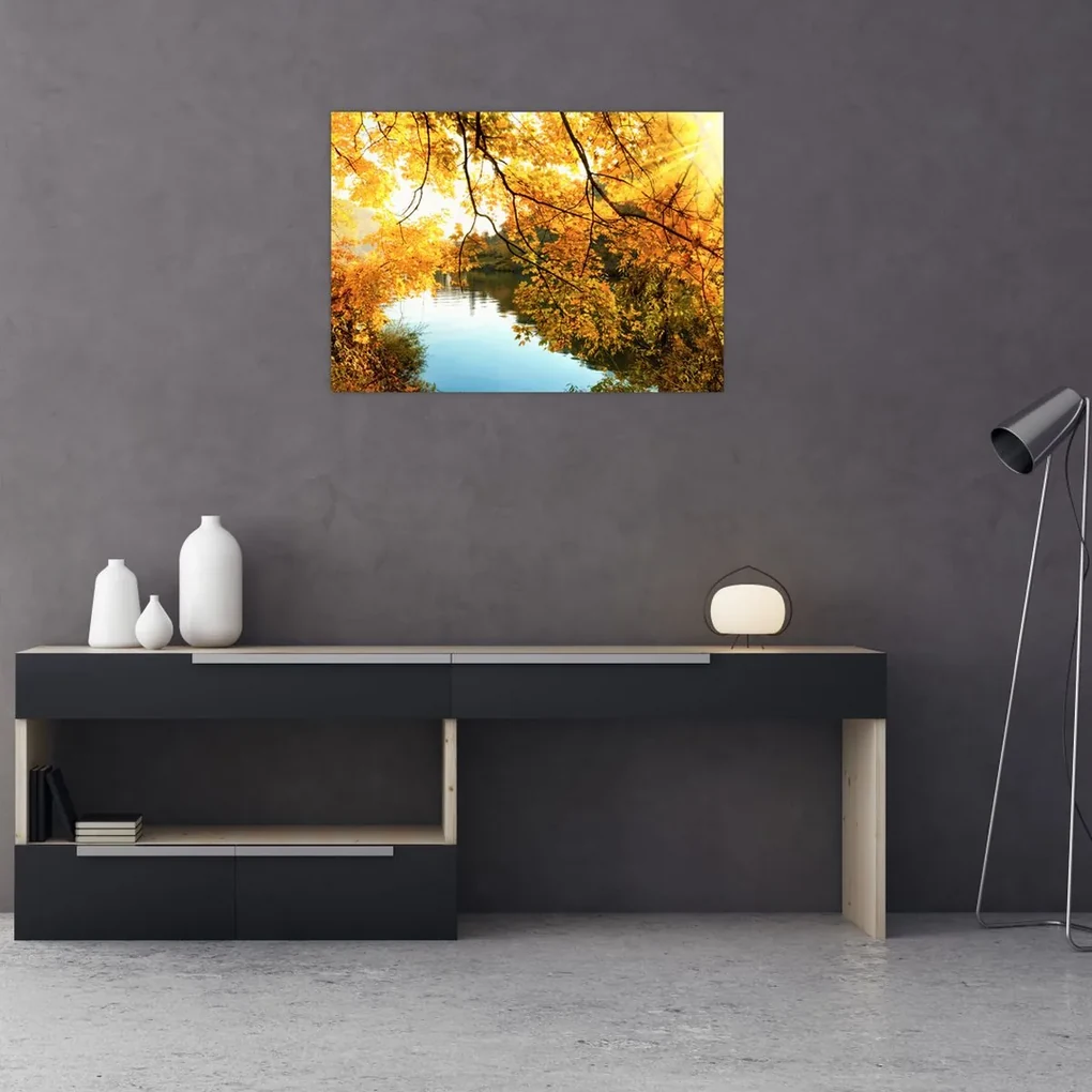 Obraz - Jesenný strom (70x50 cm)