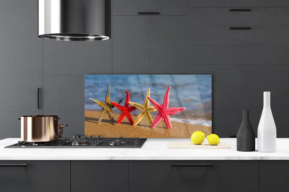 Nástenný panel  Pláž hviezdice umenie 120x60 cm