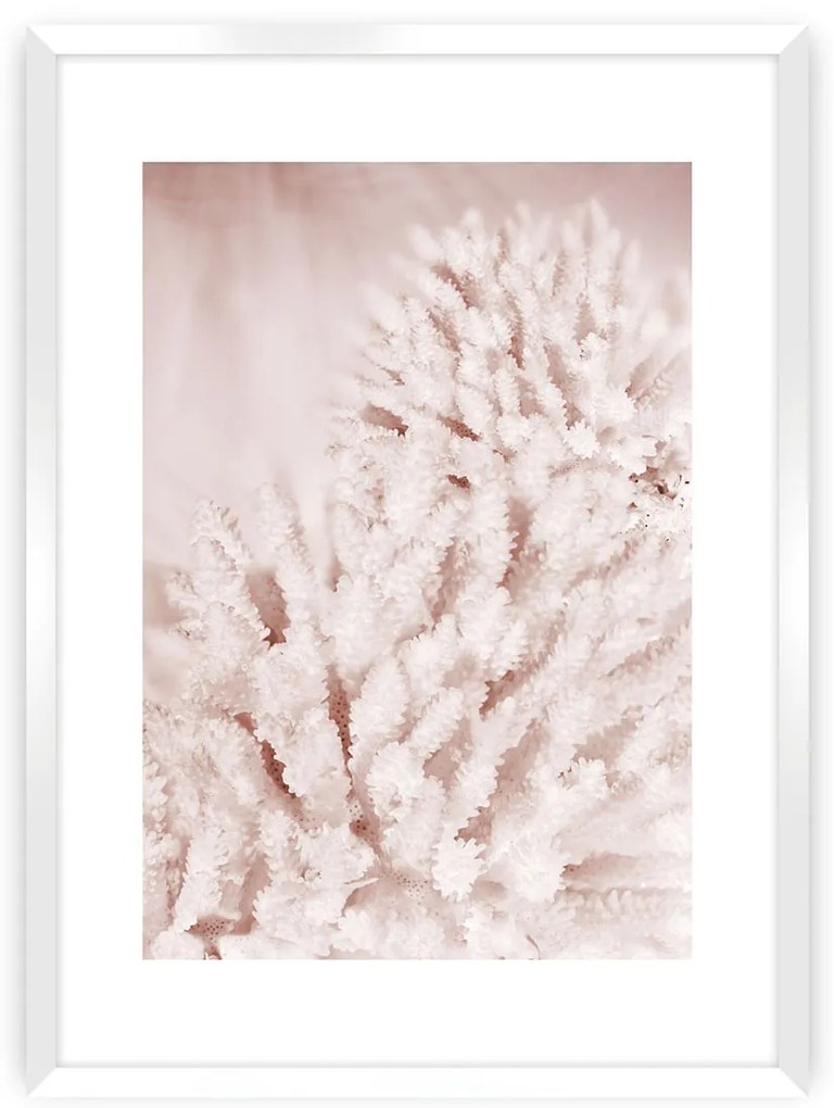 Plagát Pastel Pink II