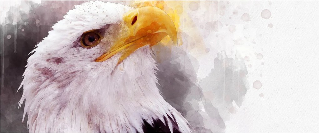 Obraz orla (120x50 cm)