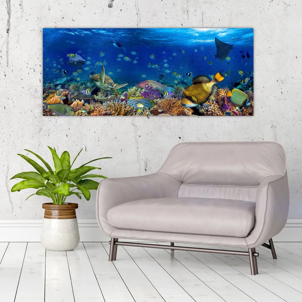 Obraz - Oceán (120x50 cm)