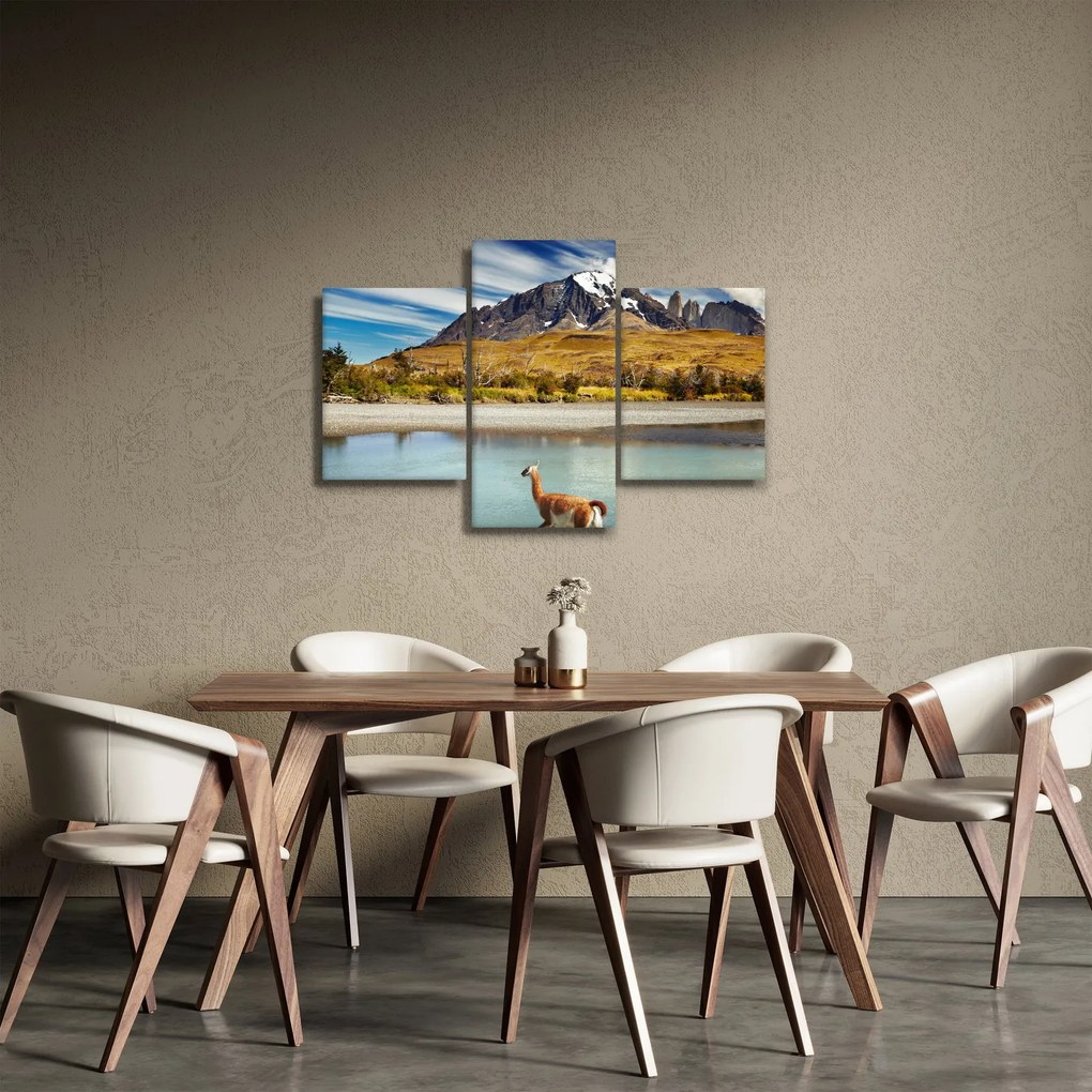 Obraz - Národný park Torres del Paine (90x60 cm)