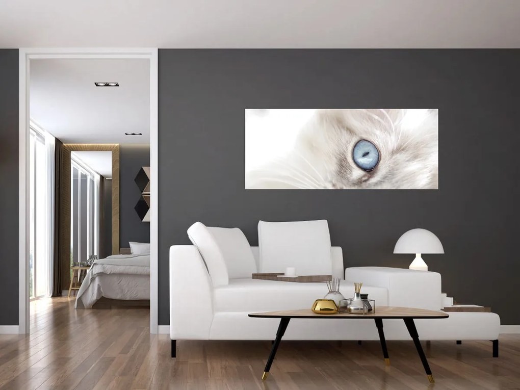 Obraz - Mačka s modrými očami (120x50 cm)