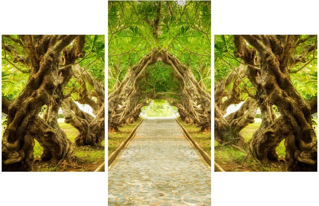 Obraz - Živý tunel z plumérií (90x60 cm)