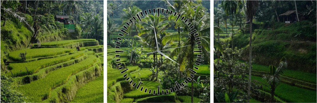 Obraz ryžových terás Tegalalang, Bali (s hodinami) (90x30 cm)