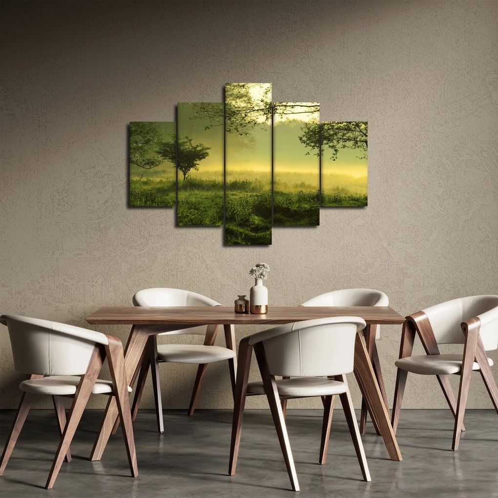 Obraz - Prebúdzajúci sa les (150x105 cm)