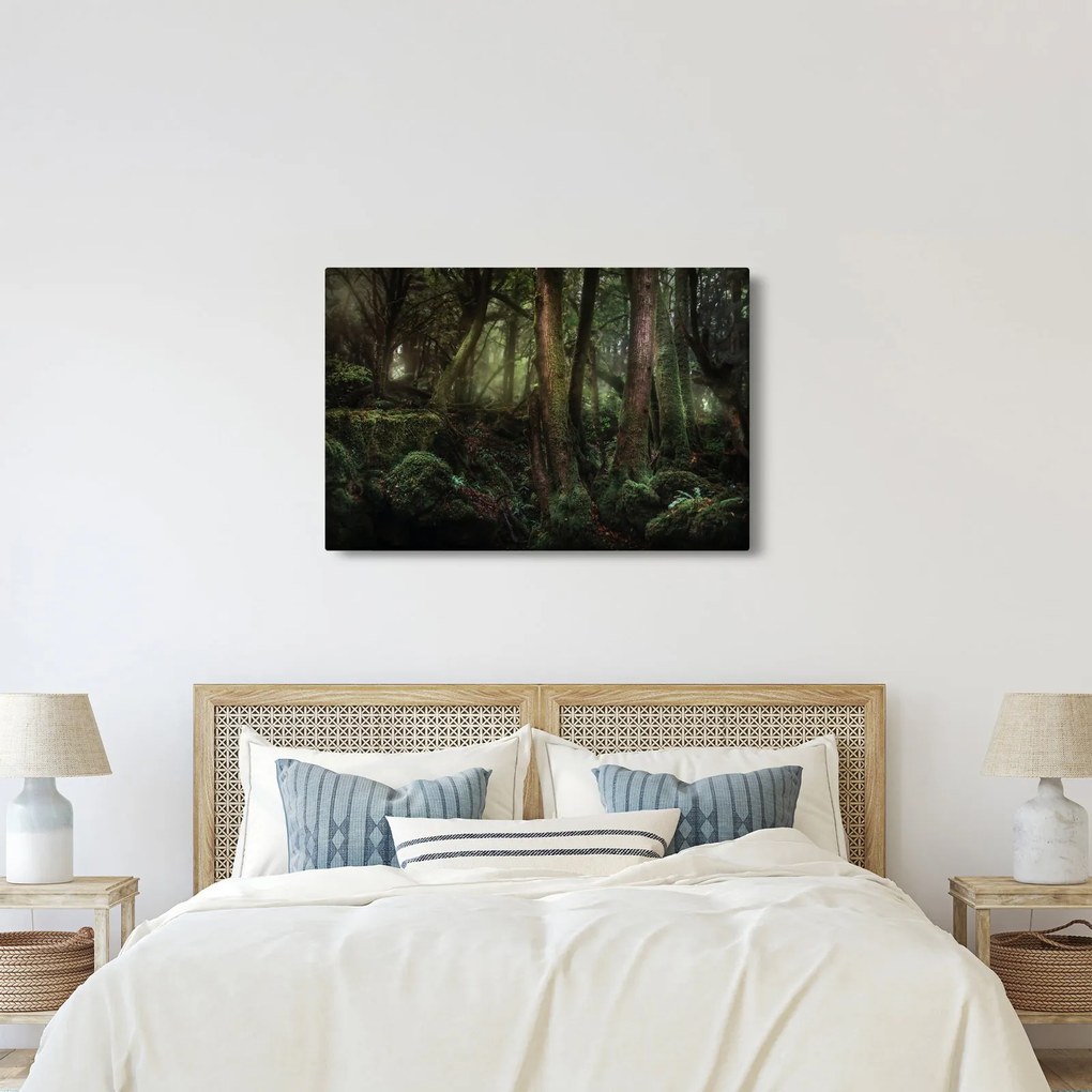 Obraz - Tajomný les (90x60 cm)
