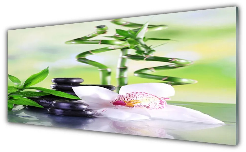 Obraz plexi Orchidea bambus zen kúpele 125x50 cm