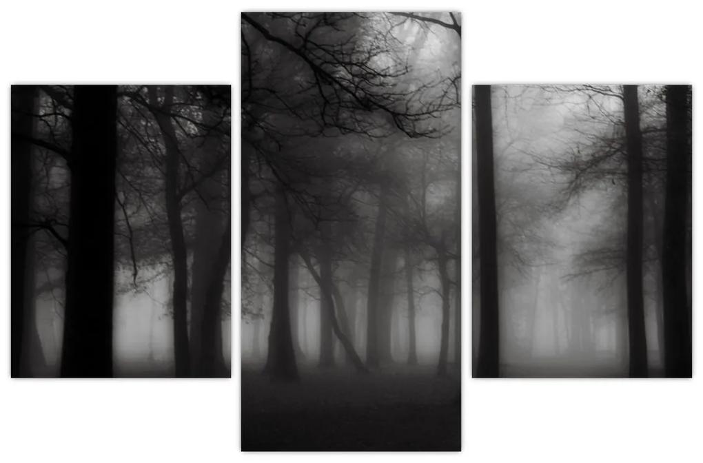 Obraz - Les v hmle (90x60 cm)