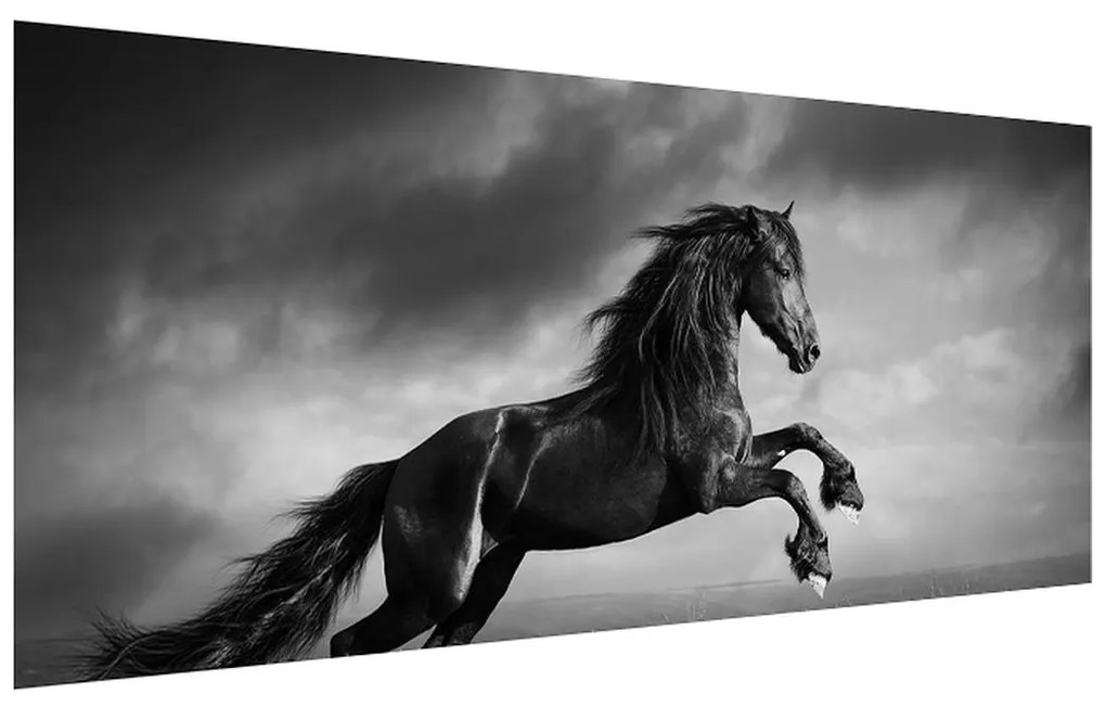 Čiernobiely obraz koňa (120x50 cm)