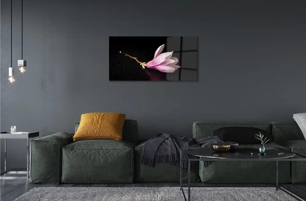 Sklenený obraz kvetina voda 100x50 cm