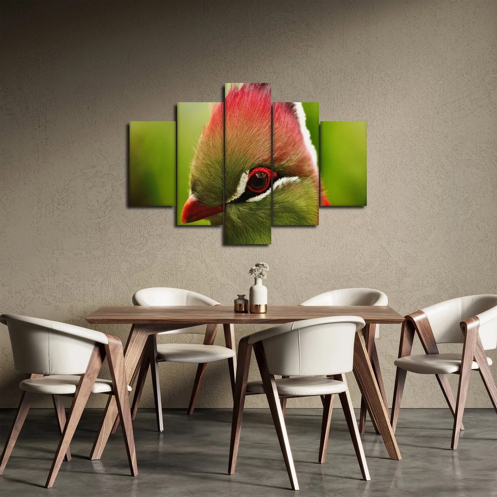 Obraz farebného vtáka (150x105 cm)