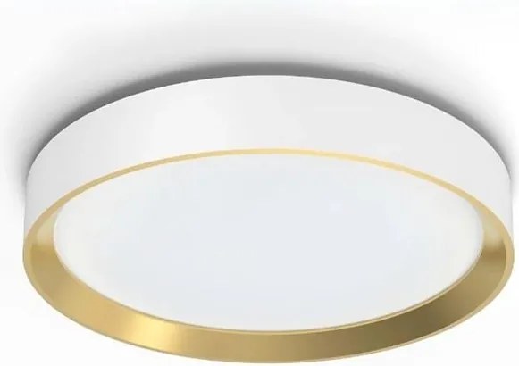 Philips - LED Stmievateľné stropné svietidlo HANNO LED/24W/230V 4000K biela