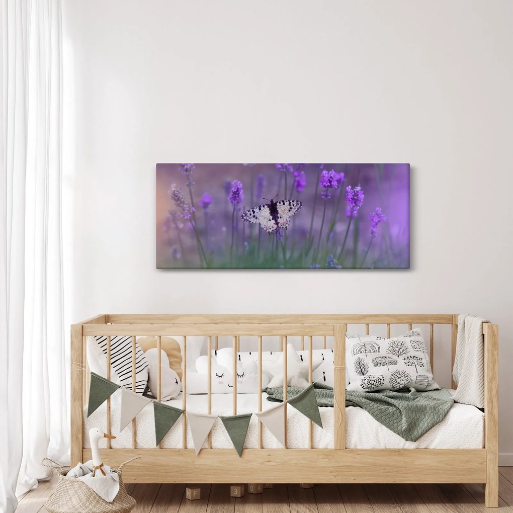Obraz - Motýľ v levanduli (120x50 cm)