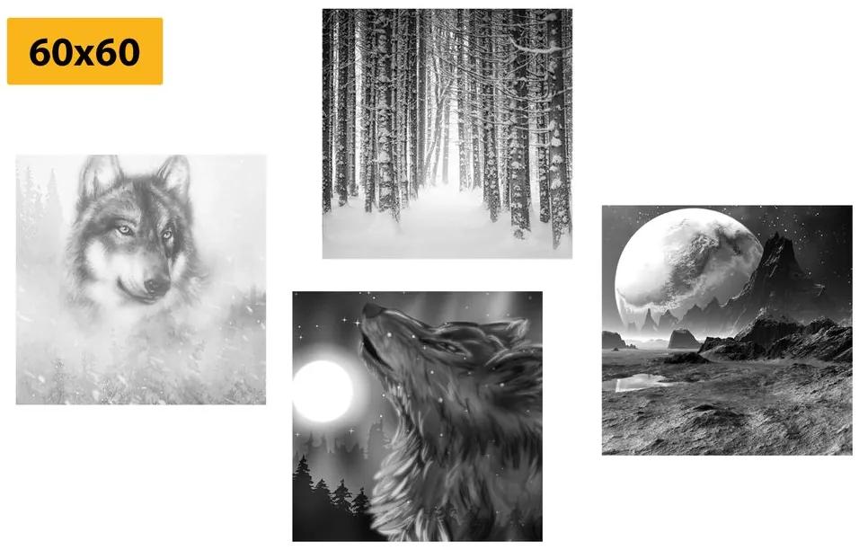 Set obrazov nádherný vlk