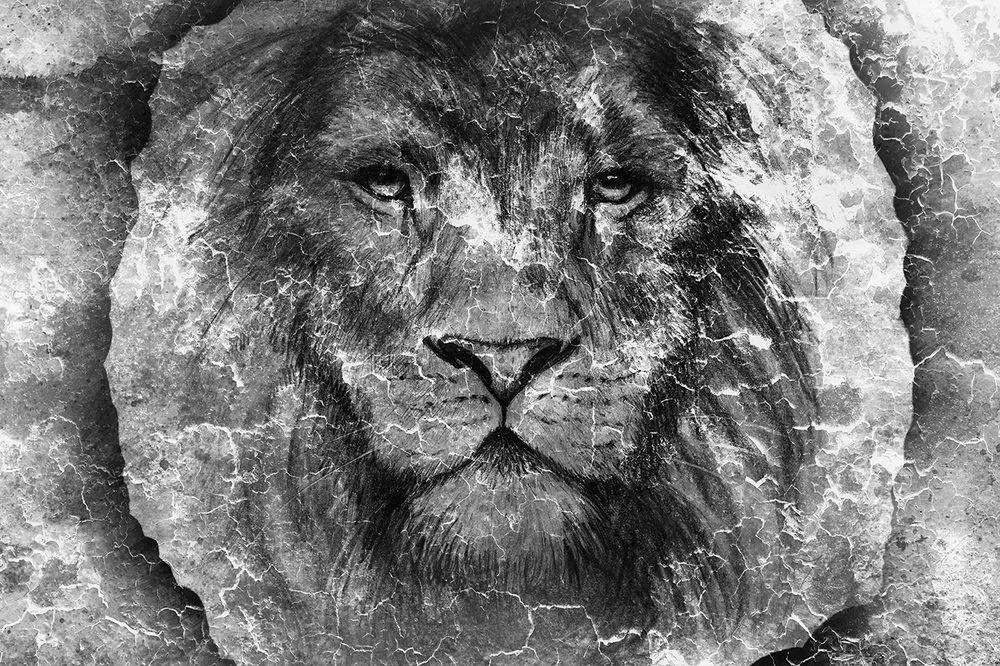 Samolepiaca tapeta tvár leva v čiernobielom prevedení - 450x300