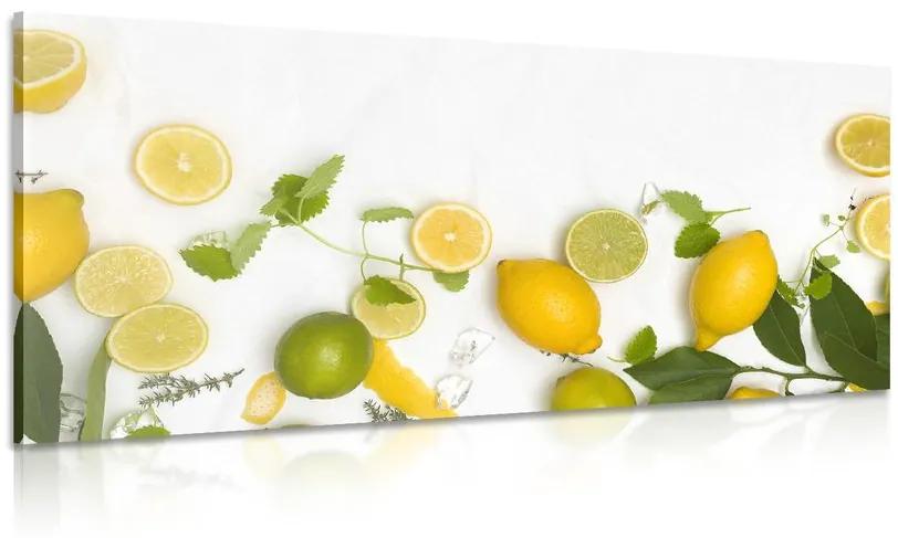 Obraz mix citrusových plodov Varianta: 100x50