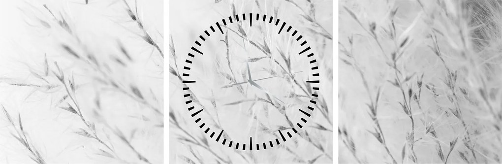 Obraz - Pampas grass N⁰2 (s hodinami) (90x30 cm)