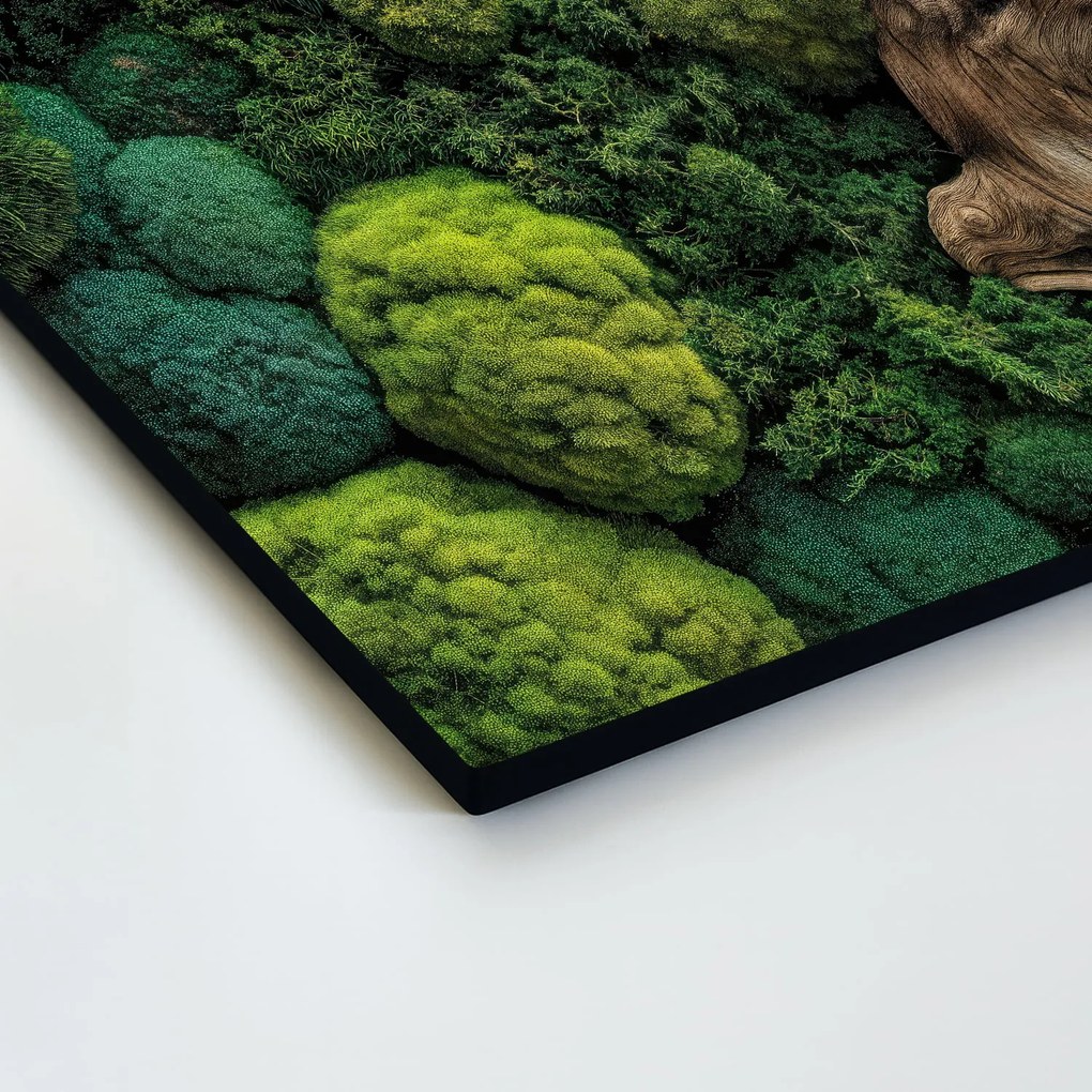 DUBLEZ | Machový obraz - Dotyk prírody