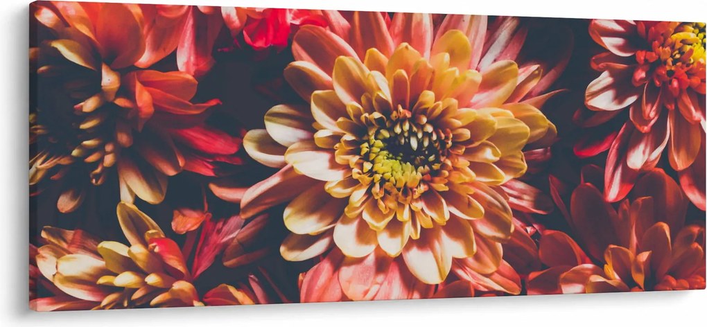 Obraz - Chryzantémy (120x50 cm)