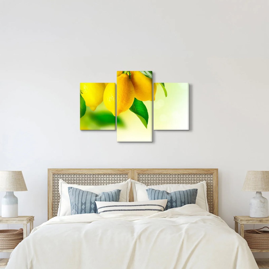 Obraz citrónov (90x60 cm)