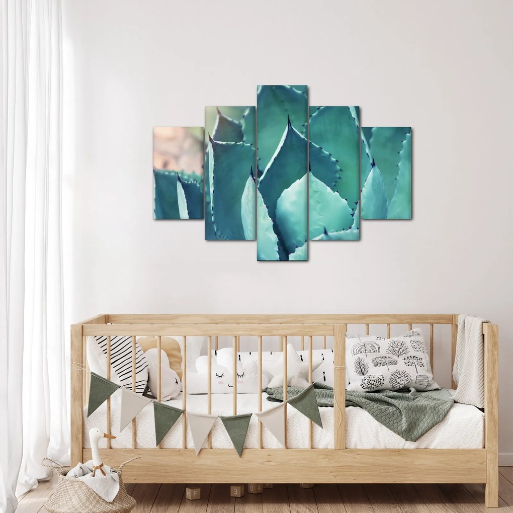 Obraz - Sukulent (150x105 cm)