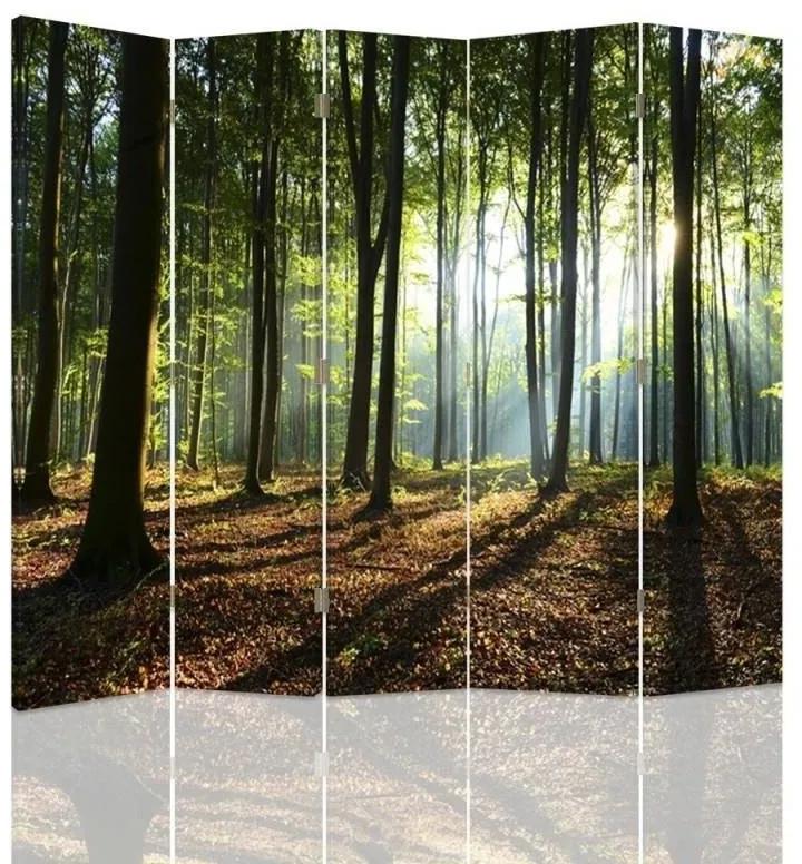 Ozdobný paraván Lesní zelená příroda - 180x170 cm, päťdielny, obojstranný paraván 360°