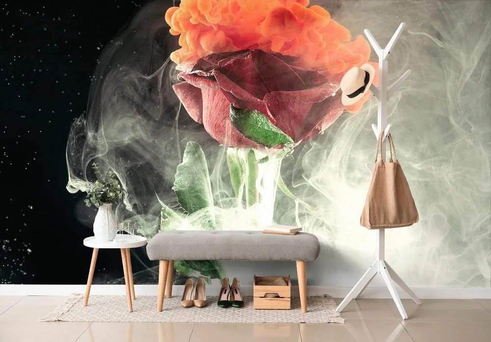 Samolepiaca tapeta ruža s farebným dymom