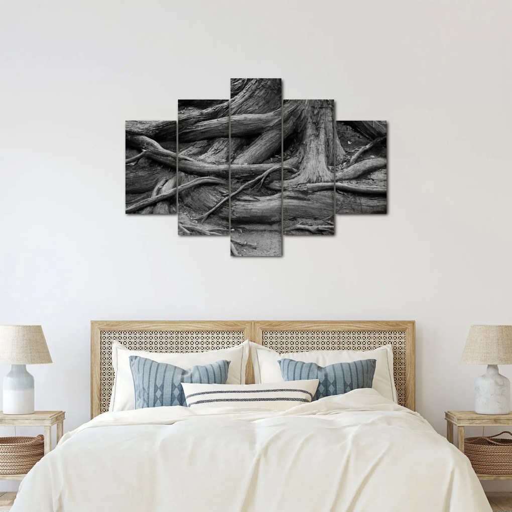 Obraz - Korene stromu (150x105 cm)