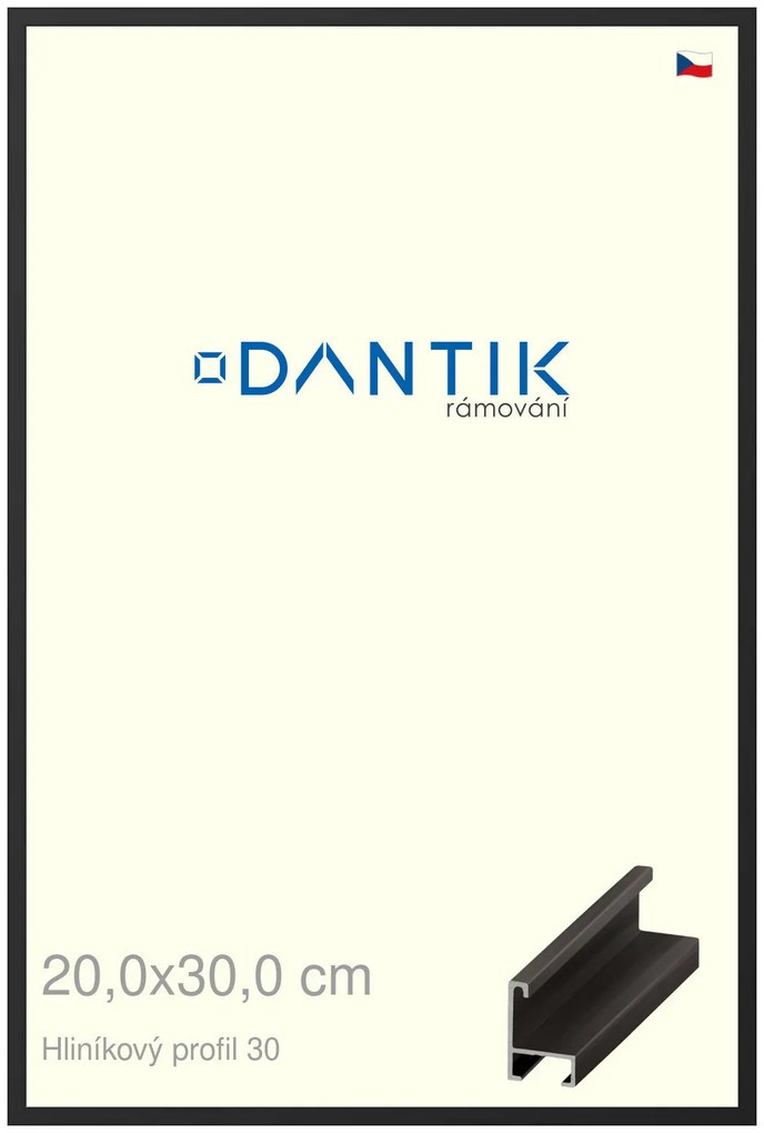 DANTIK rám na obraz 20x30 | ALU Černá matná (Sklo Čiré)