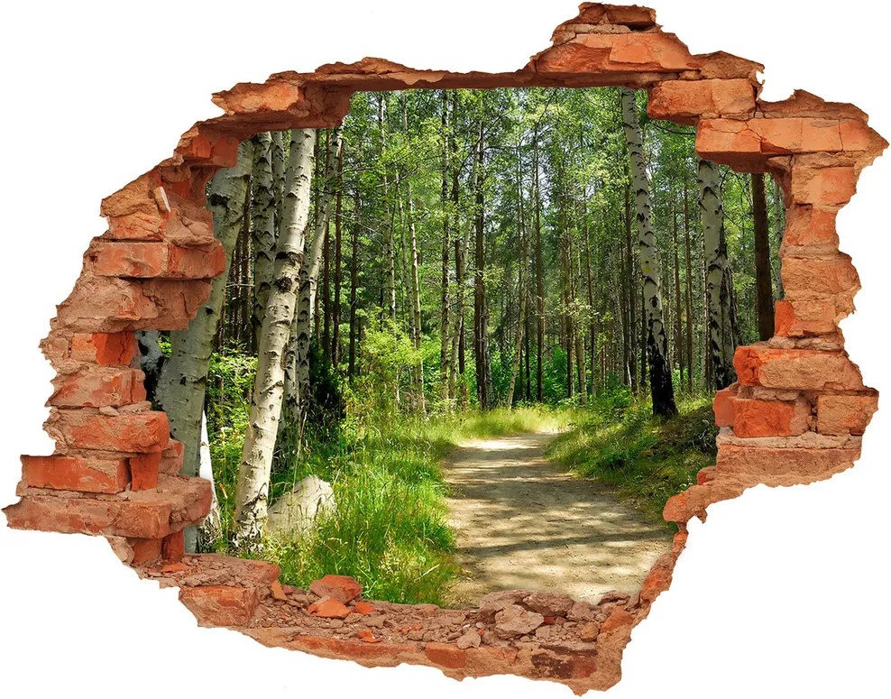Diera 3D v stene nálepka Chodník v lese WallHole-cegla-90x70-4509873